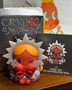 The Wishing Star(Secret)